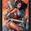 Cadre 3D lenticulaire - Pyramid - Wonder Woman Battle